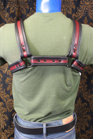 Two-Tone Bulldog Harness