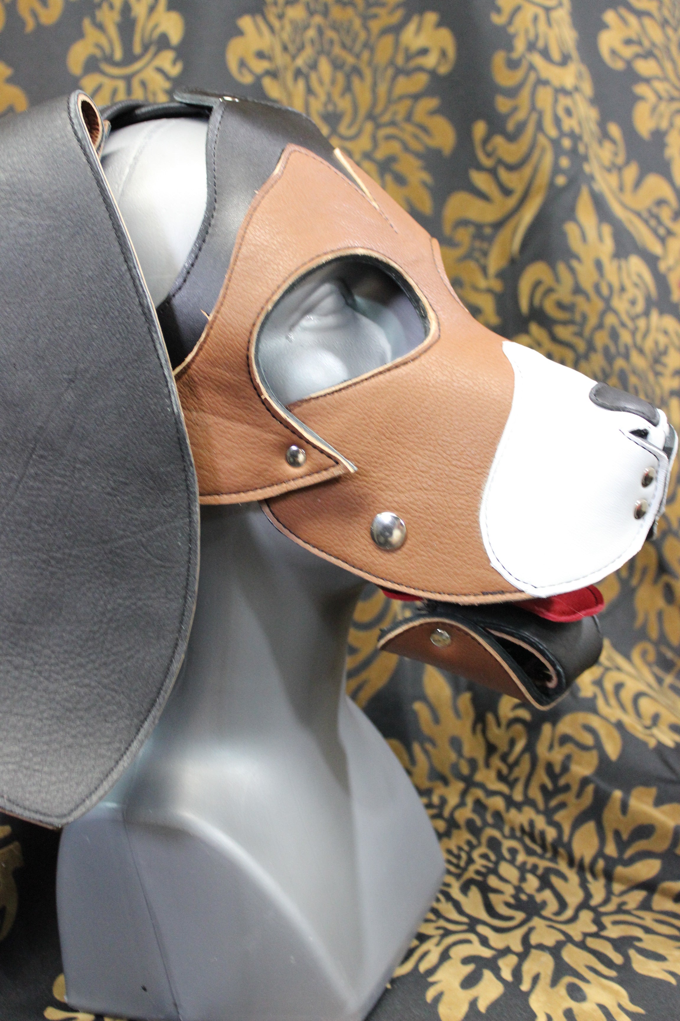 Basset Hound Style Pup Hood in Black, Tan, and White