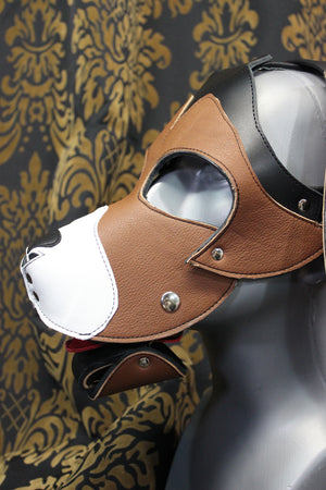 Basset Hound Style Pup Hood in Black, Tan, and White