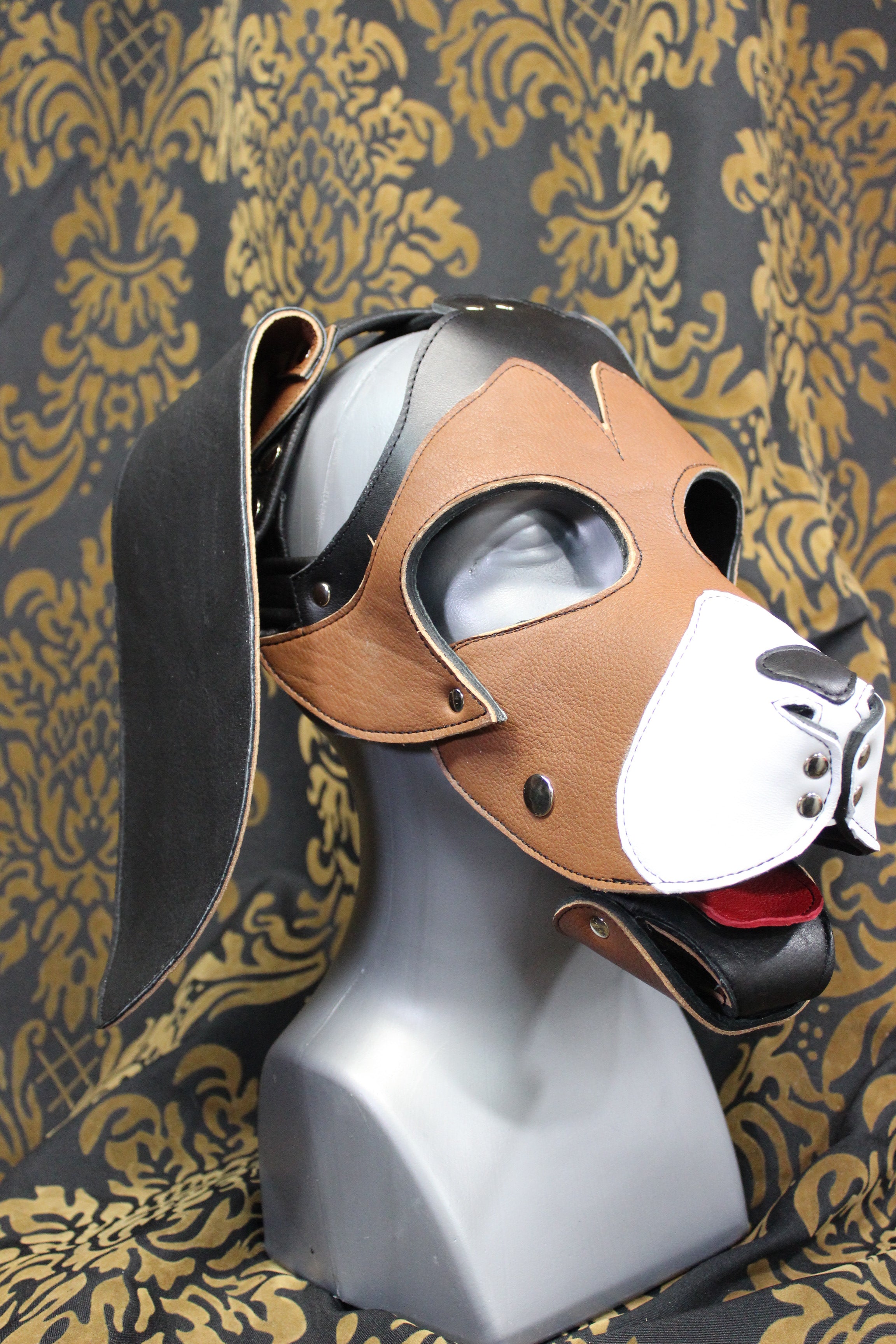 Basset Hound Style Pup Hood in Black, Tan, and White