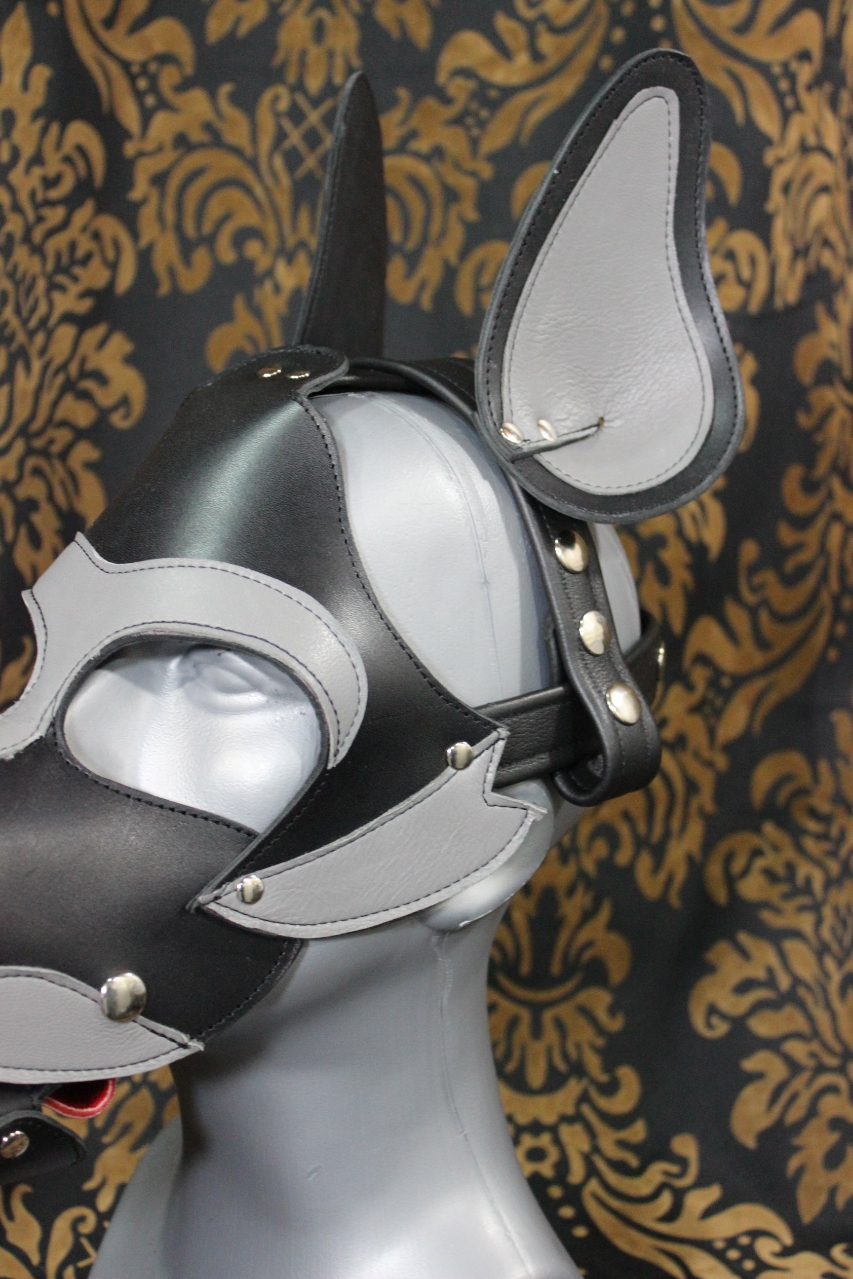 Husky style Pup Hood in Black and Gray