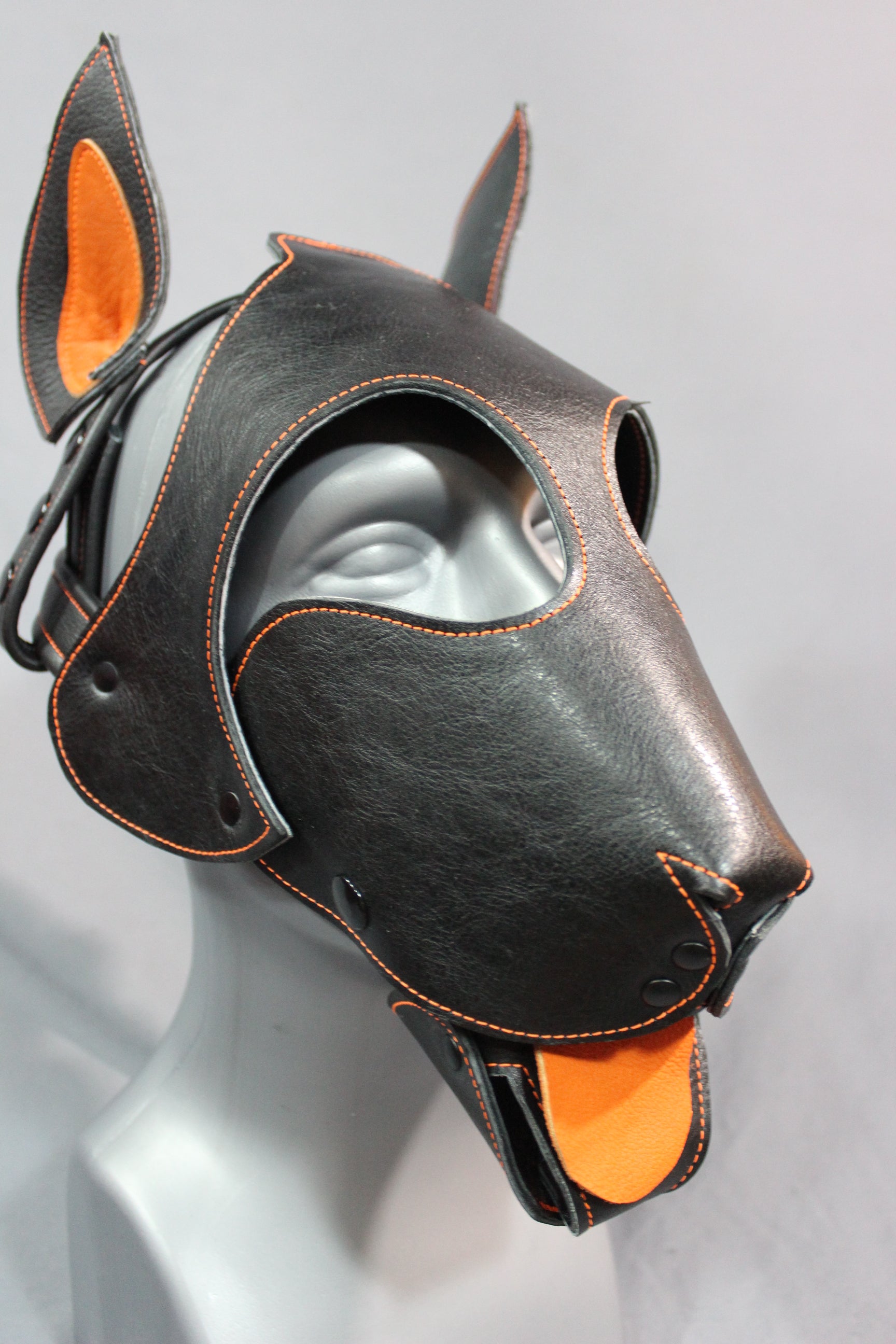 Bull Terrier Style Pup Hood