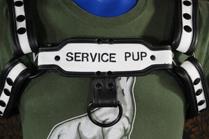 Two-Tone Service Pup Bulldog Harness