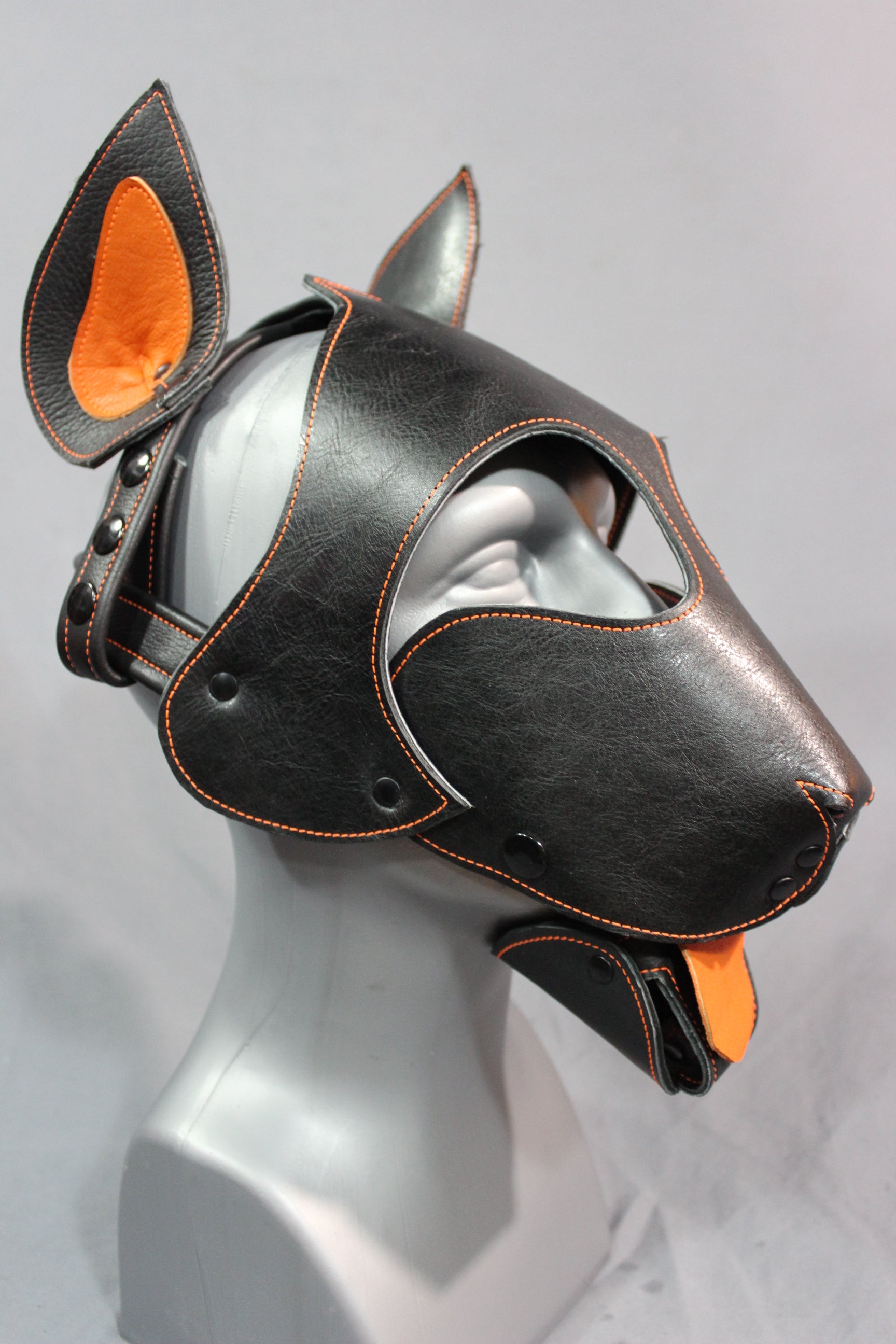 Bull Terrier Style Pup Hood