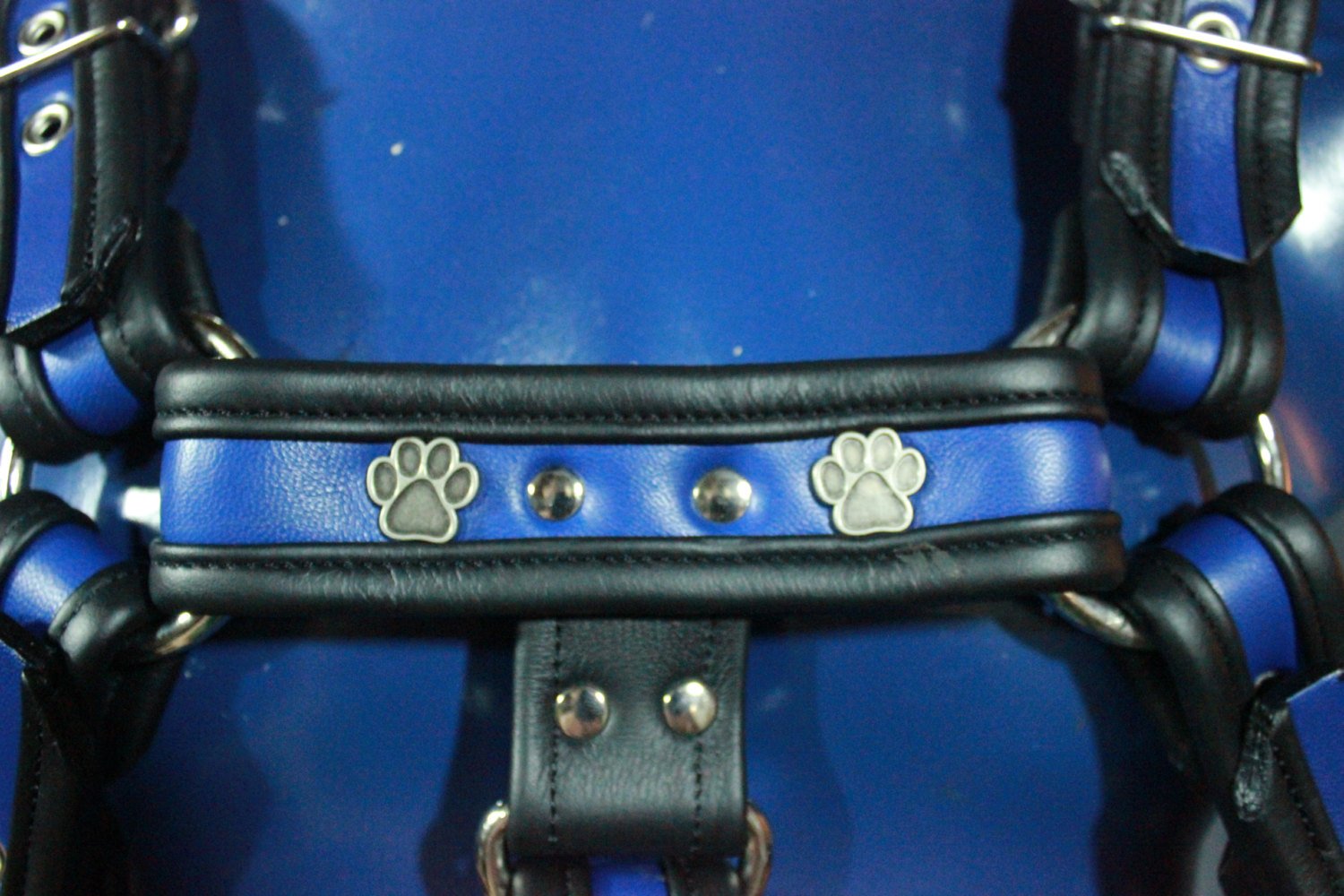 Full Body Bulldog Harness with Buckles and Puppy Paw Highlights