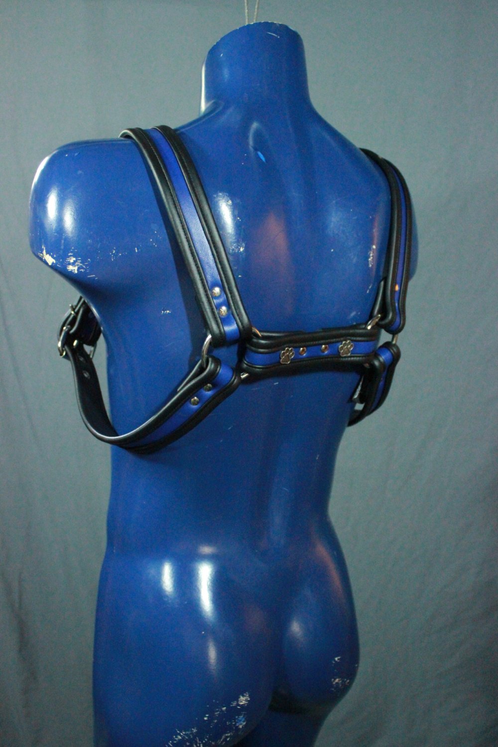 Full Body Bulldog Harness with Buckles and Puppy Paw Highlights