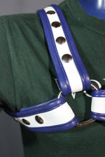 Harnais en os de chiot bleu et blanc