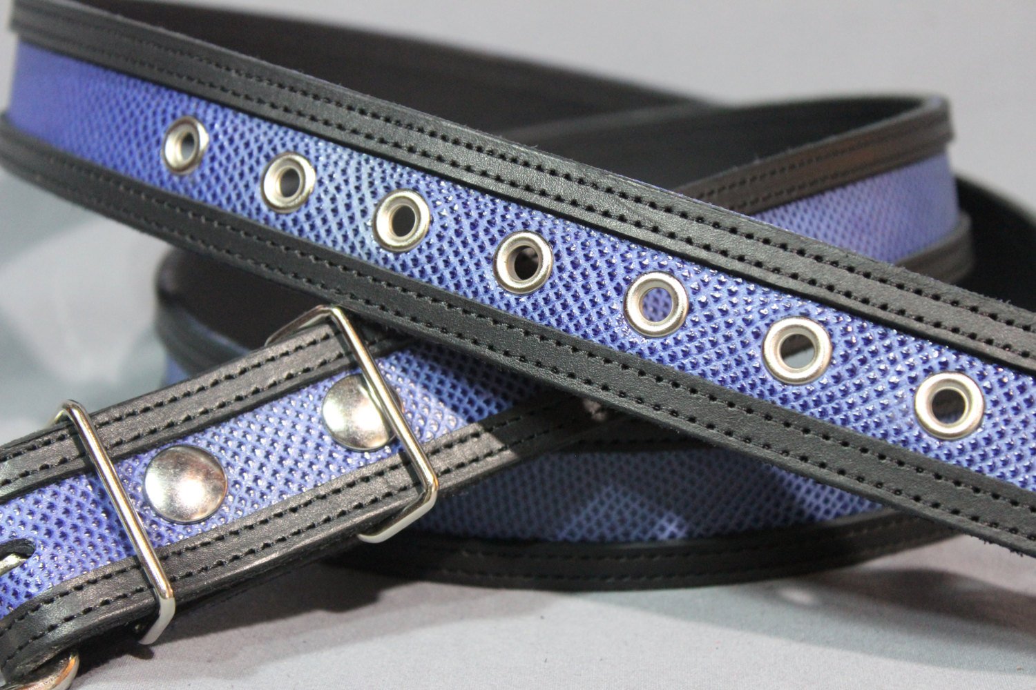 Ceinture en peau de serpent bicolore ultra durable en BLEU