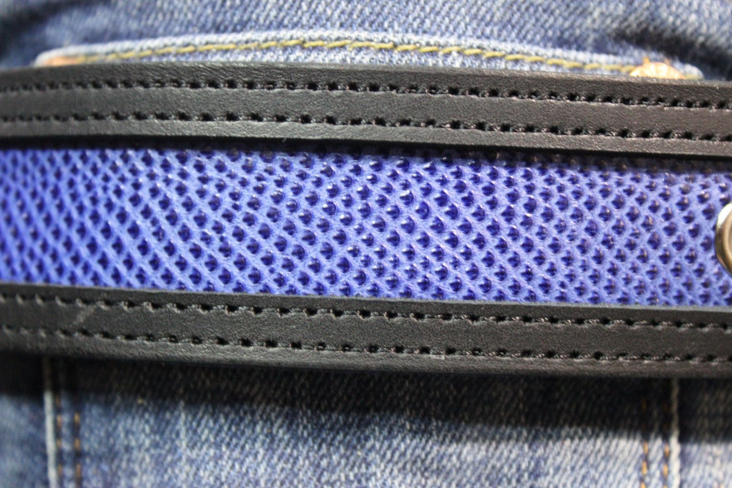 Ceinture en peau de serpent bicolore ultra durable en BLEU