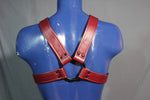 Classic Extended X Harness