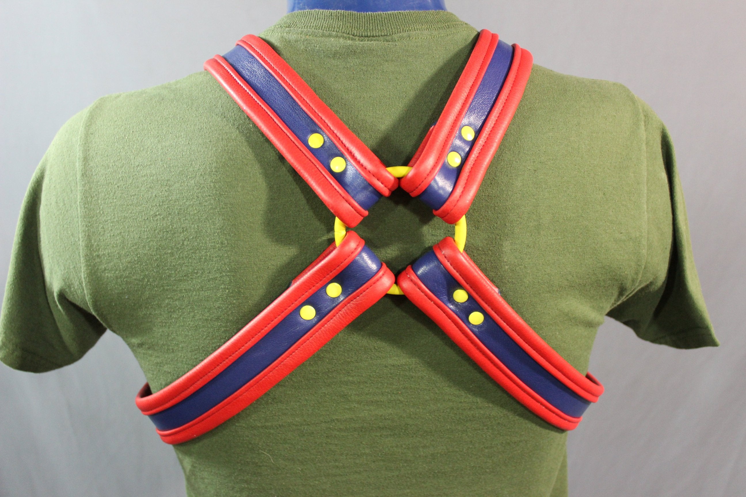 Our SUPER Harness!