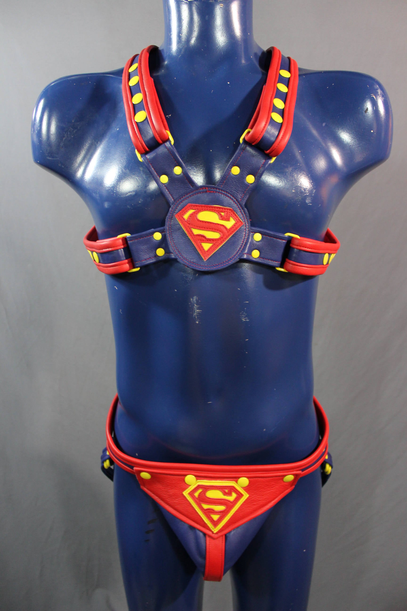 Our SUPER Harness!