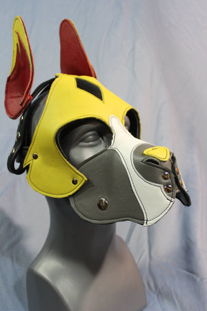 Notre capuche Pup style Boxer "Fire Box" en rouge et jaune