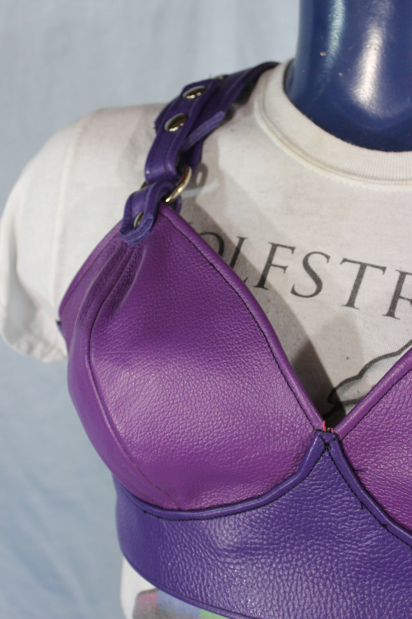 Anything BUT Basic! Our PURPLE PRINCESS edition of our leather Bra!
