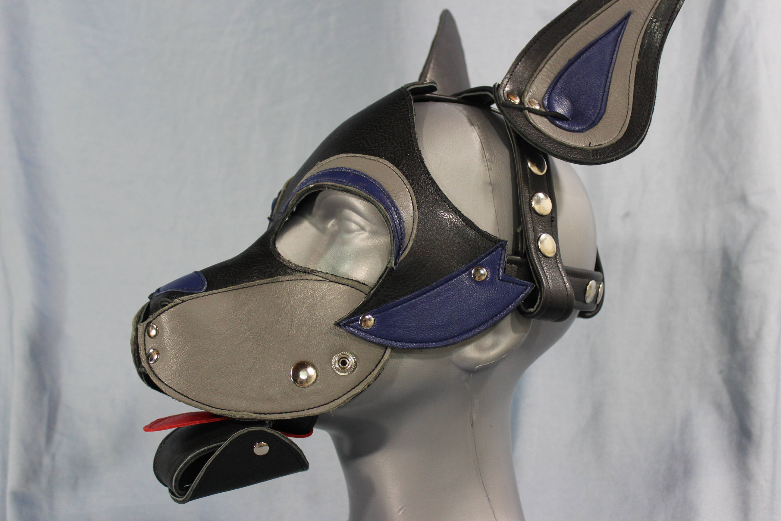 Capot de chiot de style Husky en noir, bleu et gris