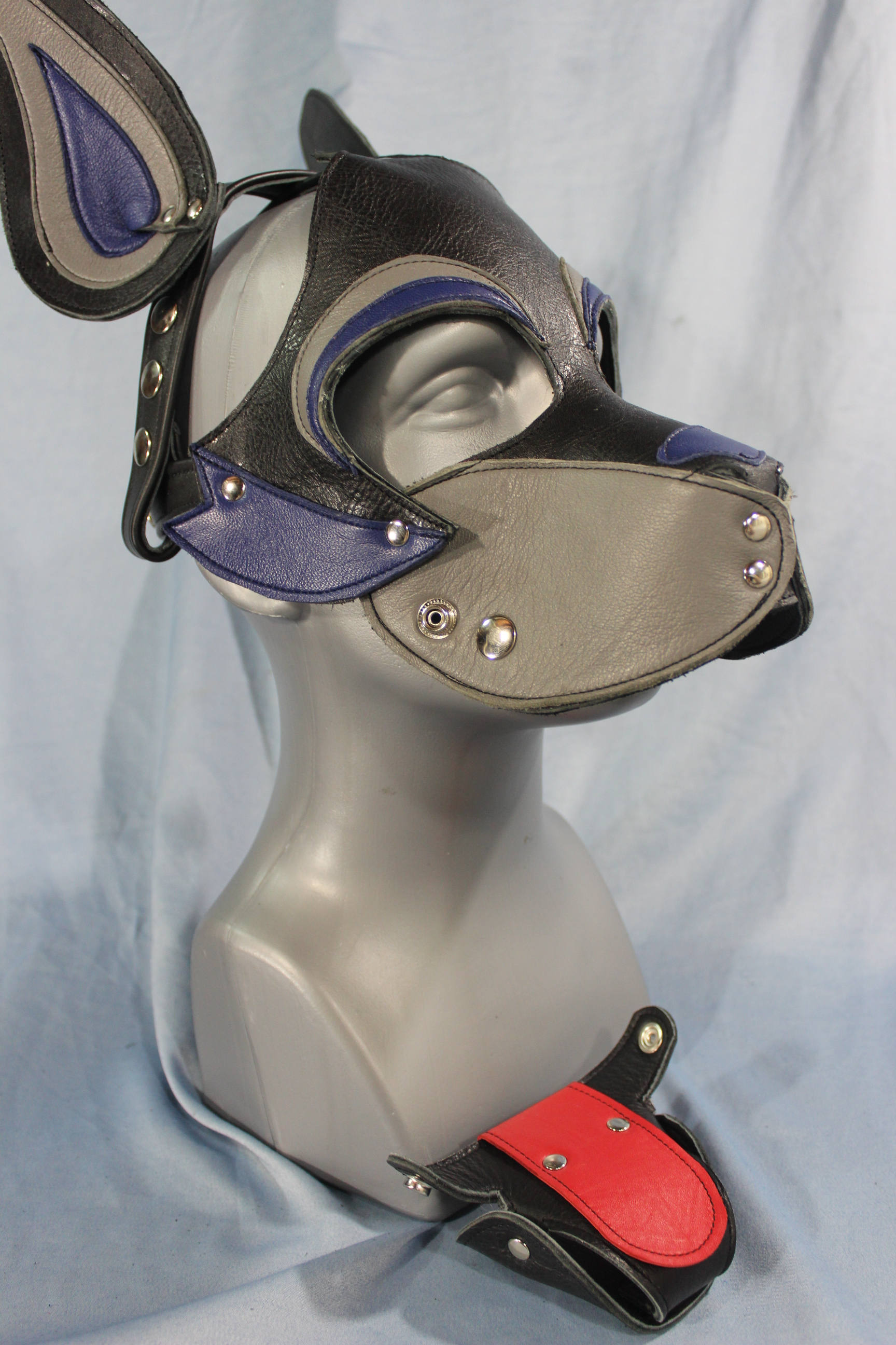 Husky style Pup Hood in Black, Blue, and Gray