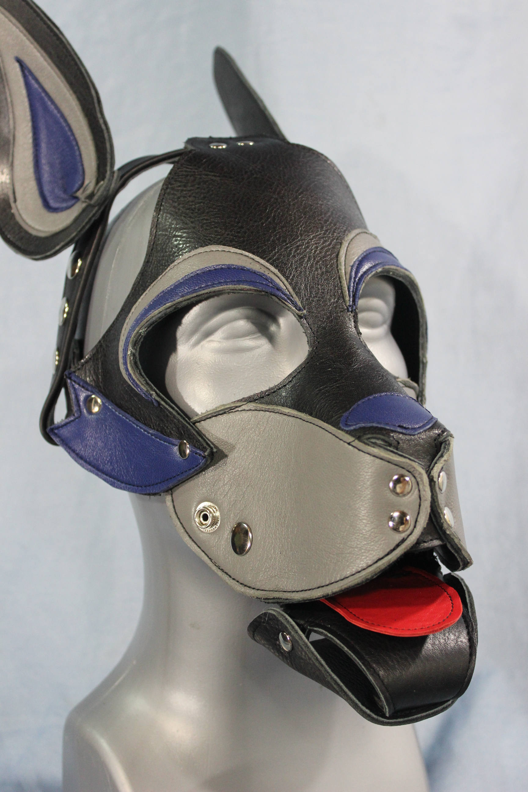 Capucha para cachorro estilo Husky en negro, azul y gris