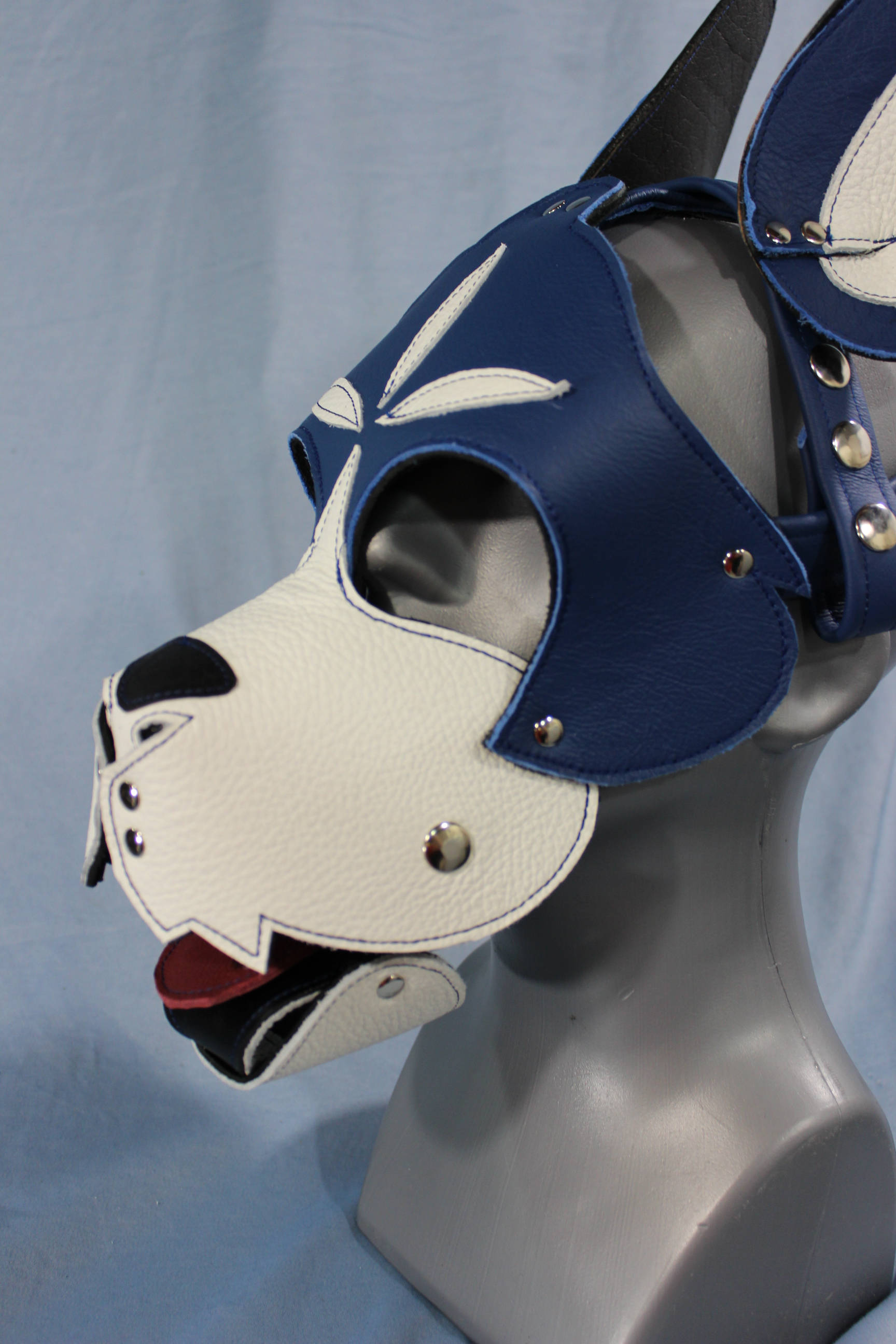 Blue and White Boxer Hood with Studded Whiskers