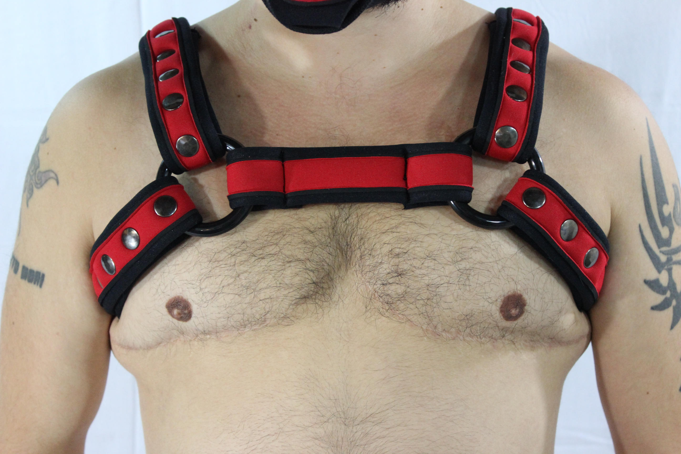 Pupskinz Custom Two Toned Neoprene Bulldog Harness