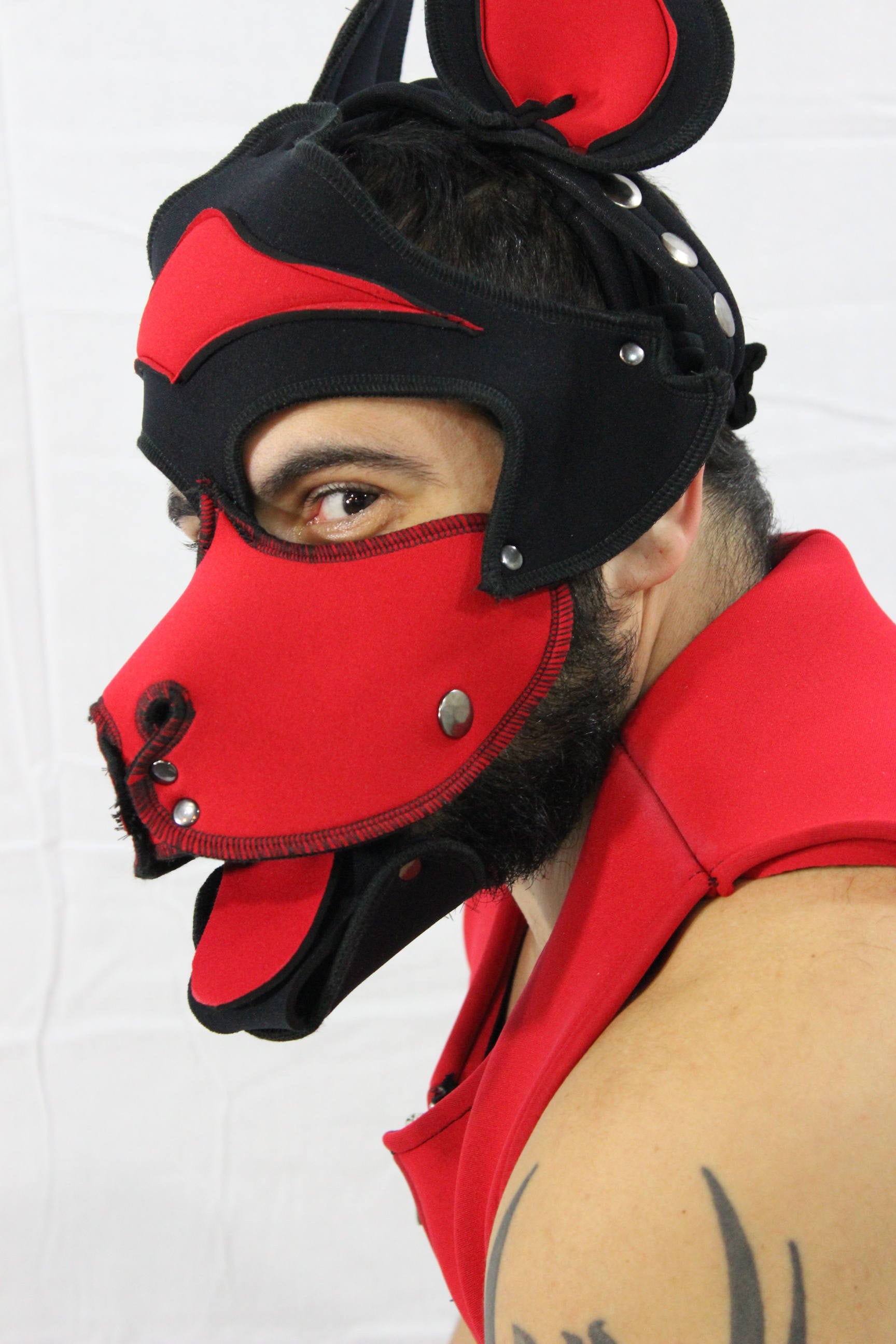 Pupskinz Custom Two Toned Neoprene Husky Hood