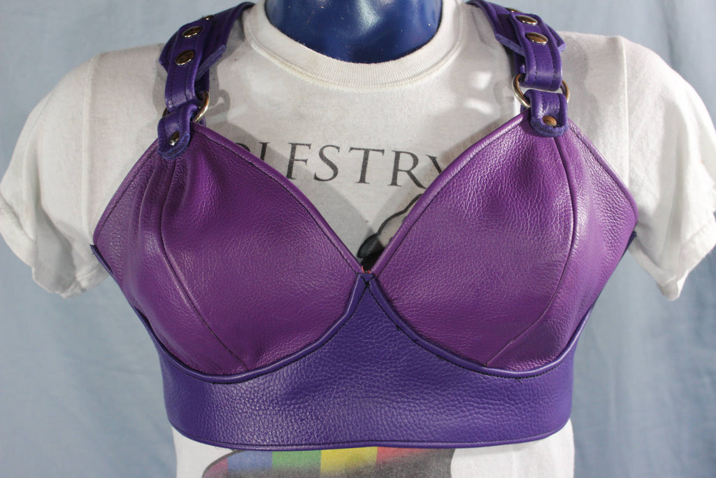 Anything BUT Basic! Our PURPLE PRINCESS edition of our leather Bra!