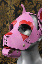 La capucha del cachorro del amor