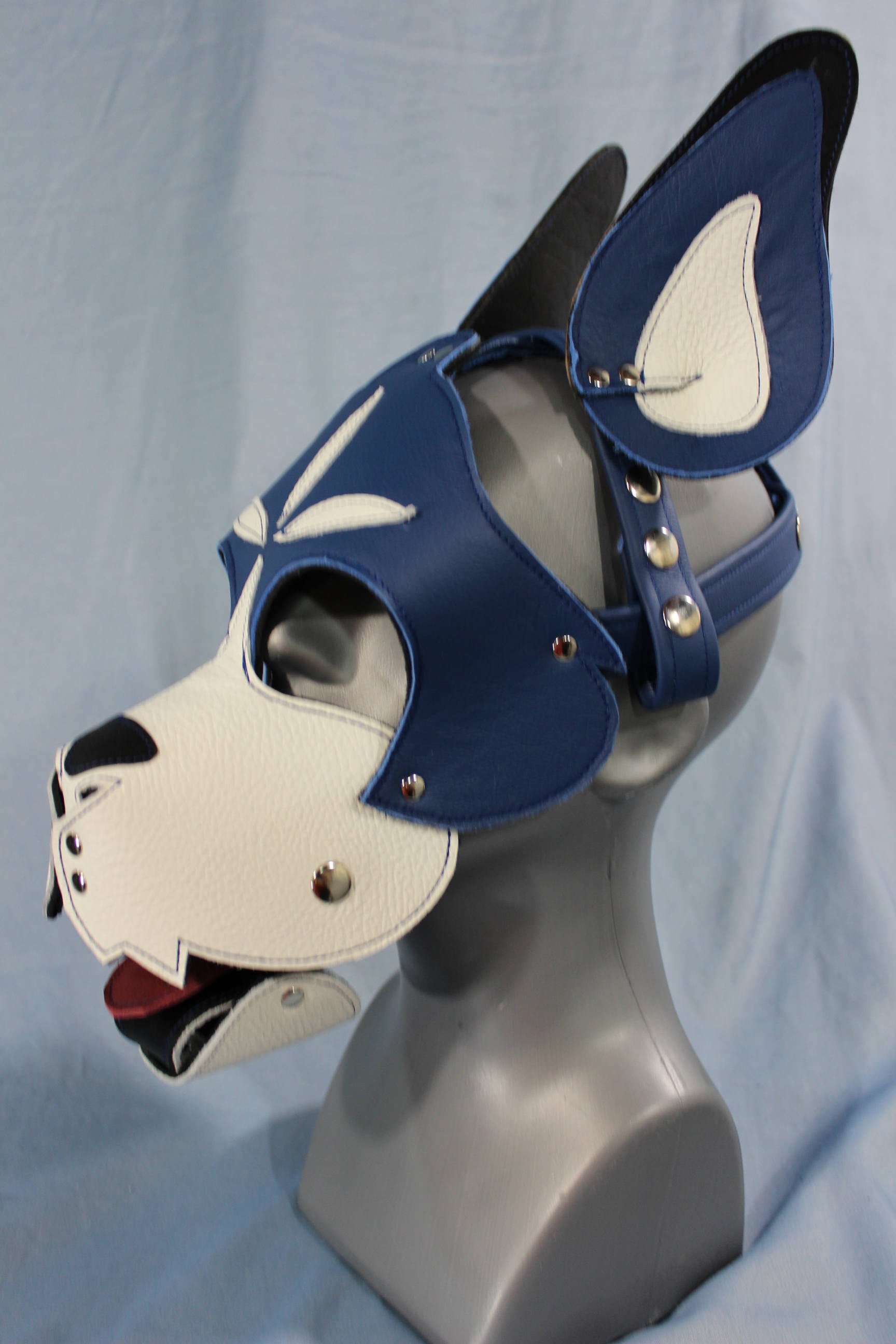 Blue and White Boxer Hood with Studded Whiskers