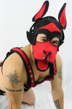 Capucha Husky de neopreno de dos tonos personalizada de Pupskinz