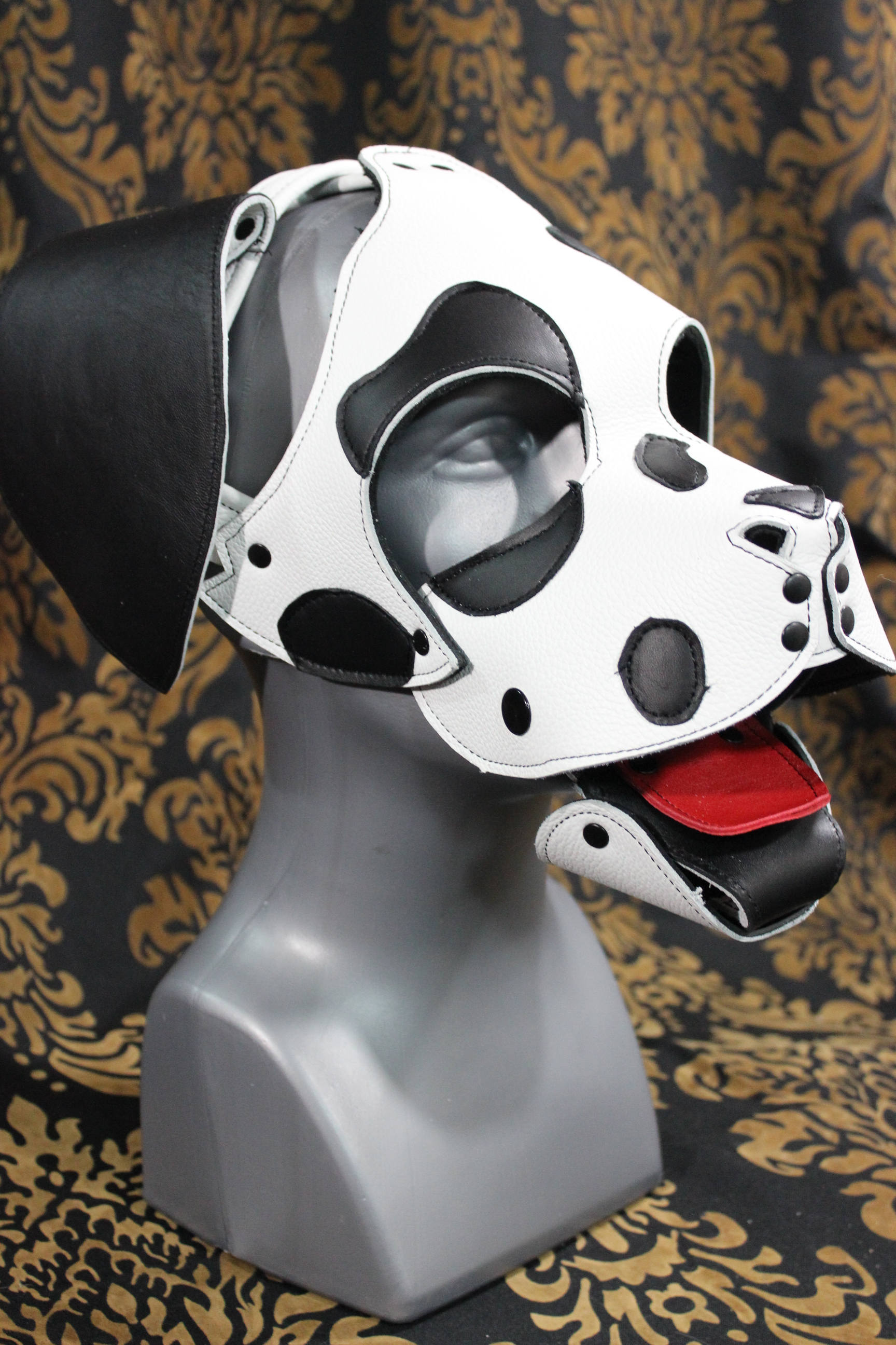 Dalmation Pup Hood