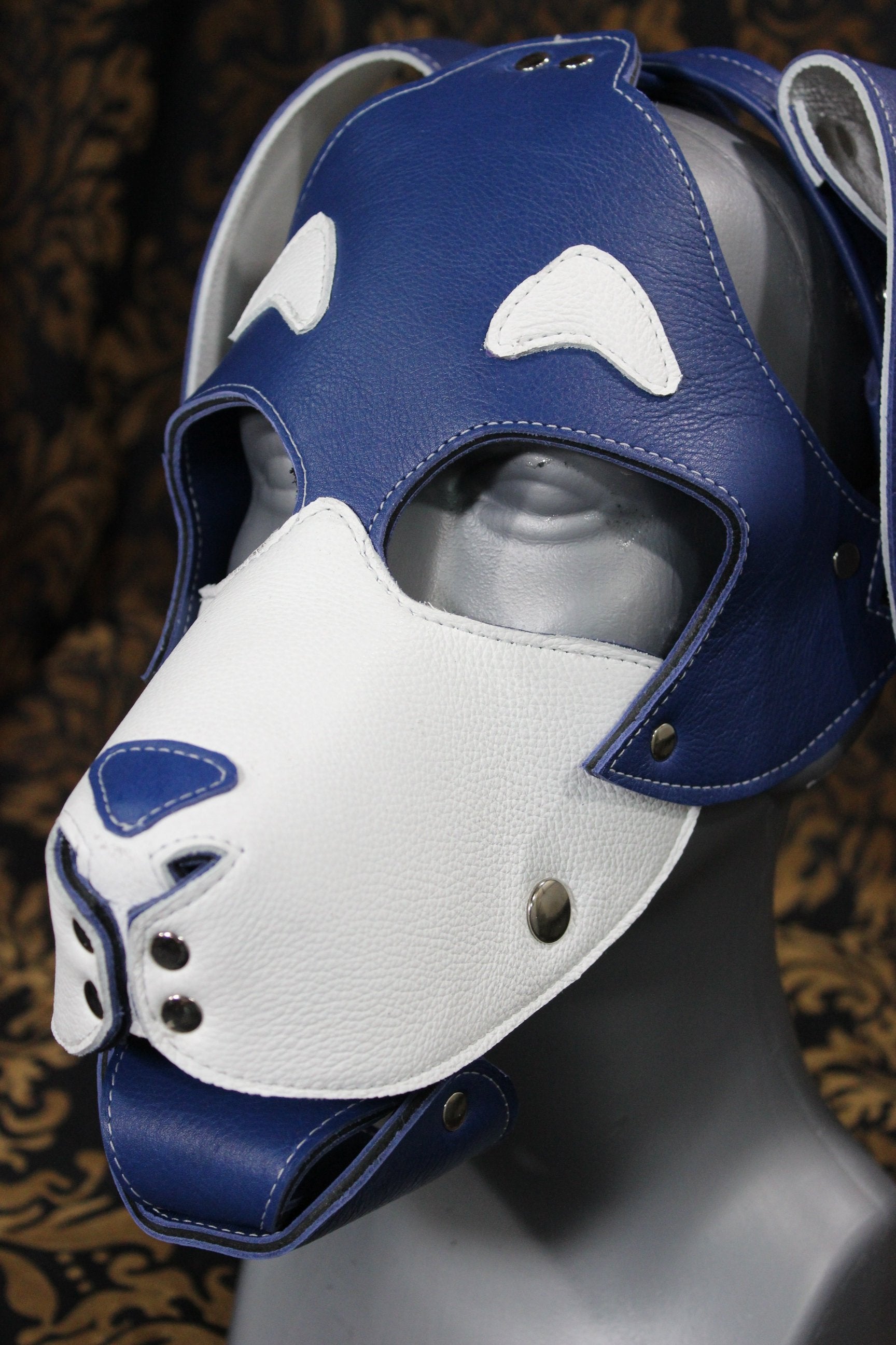 Basset Hound Style Pup Hood en bleu et blanc