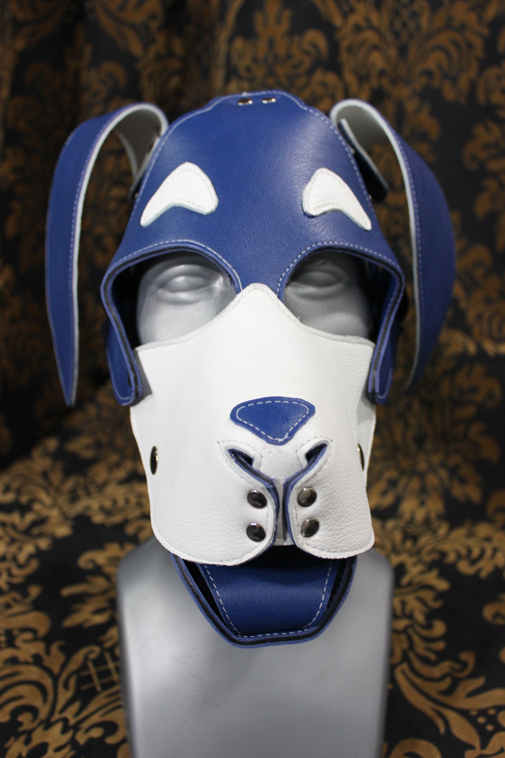 Basset Hound Style Pup Hood en bleu et blanc