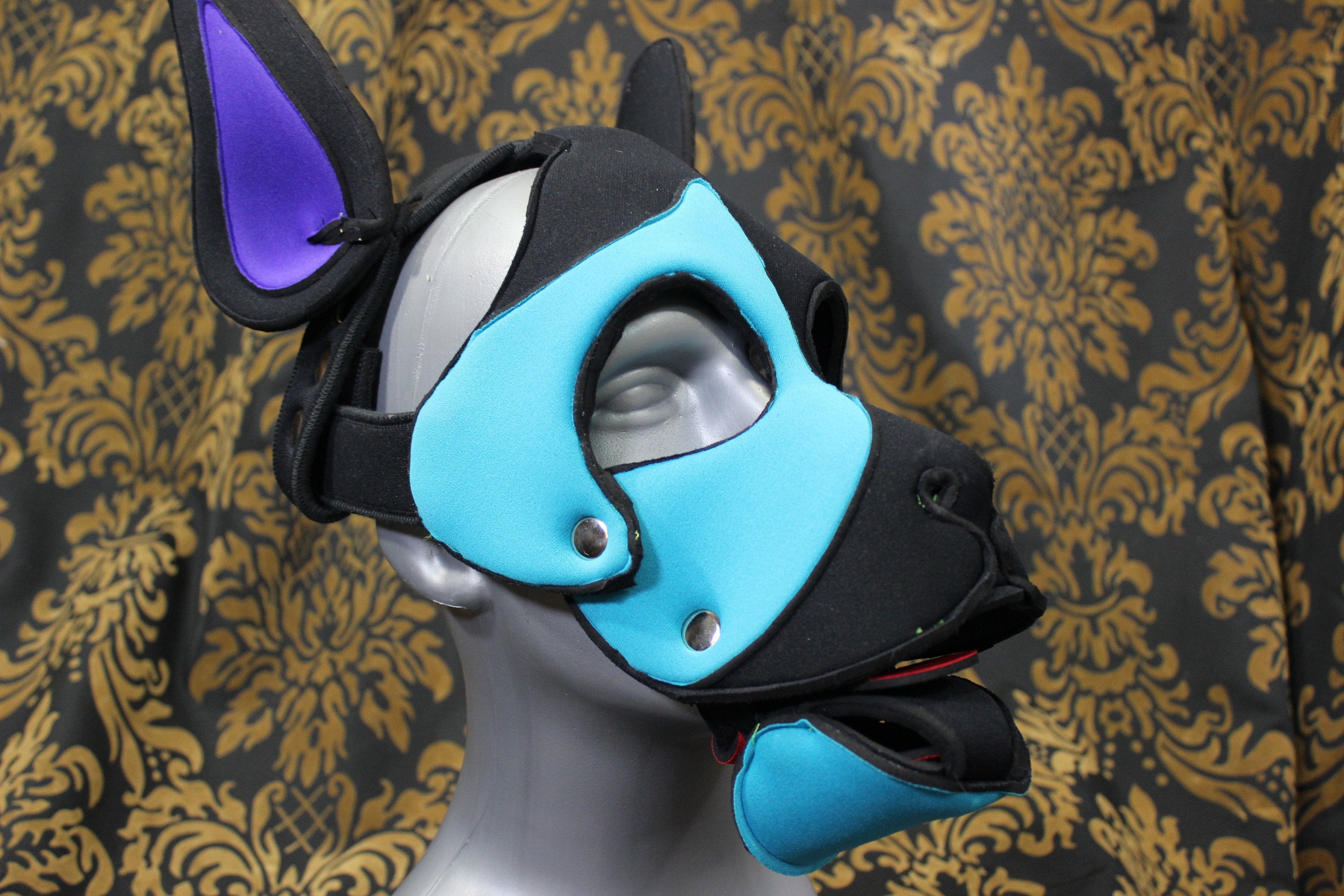 Pupskinz Custom Three Toned Neoprene Husky Hood