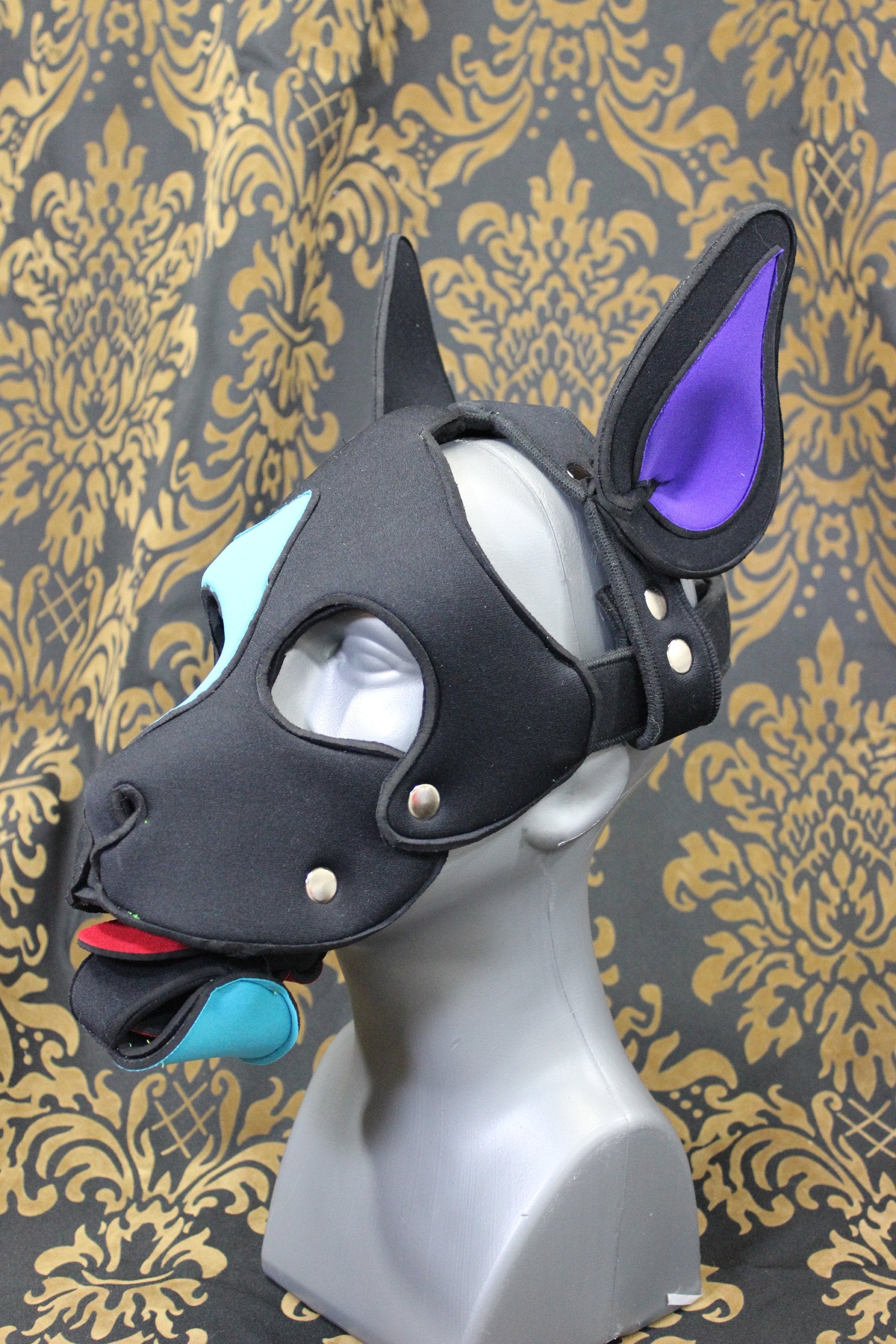 Pupskinz Custom Three Toned Neoprene Husky Hood