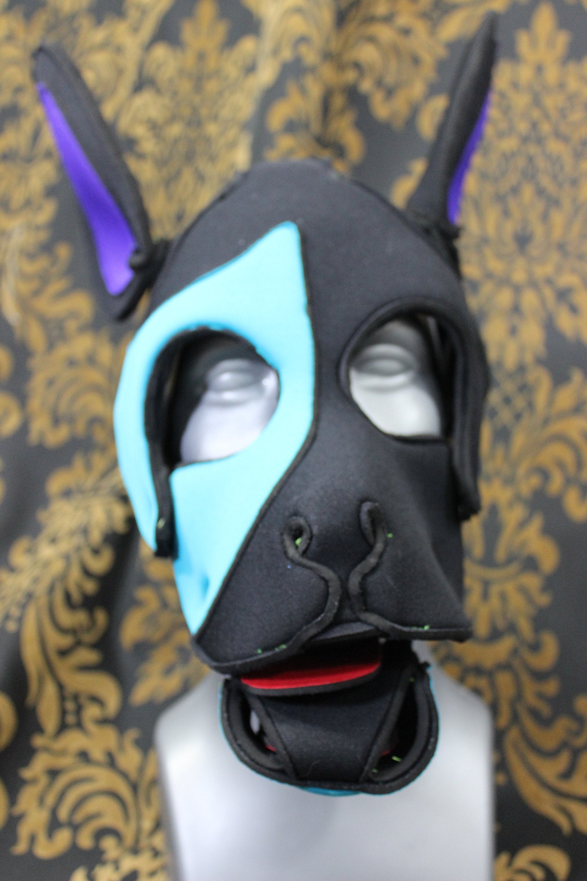 Pupskinz Custom Three Toned Neoprene Husky Hood